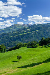 Landscape with mountains, green meadows and forest