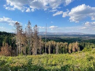 Brocken im Harz mit Waldsterben