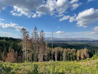 Der Brocken und Waldsterben im Harz