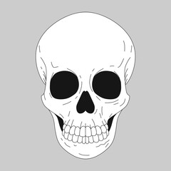 Skull vector monochrome illustration. Sugar skull. The day of the Dead. Tattoo.