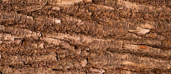 wood texture