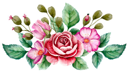 Watercolor rose romantic flower border illustration.