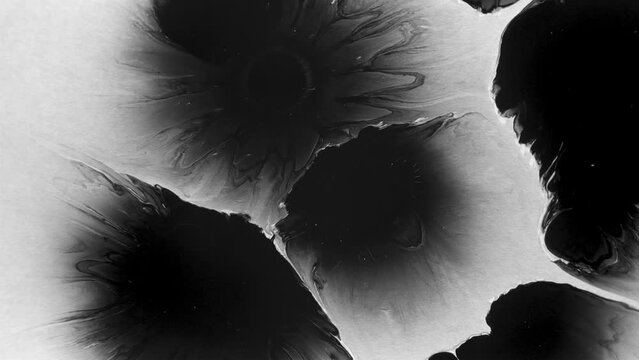 Abstract ink splatter transition in black and white seamless loop