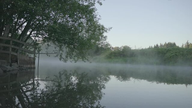 Pacific Northwest Early Morning in Nature