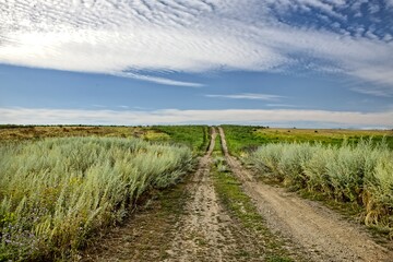 Dirt road leads off into the horizon.