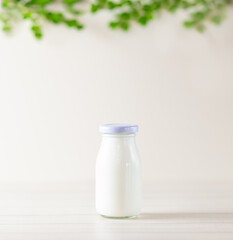 Obraz na płótnie Canvas Cow's milk in a glass bottle