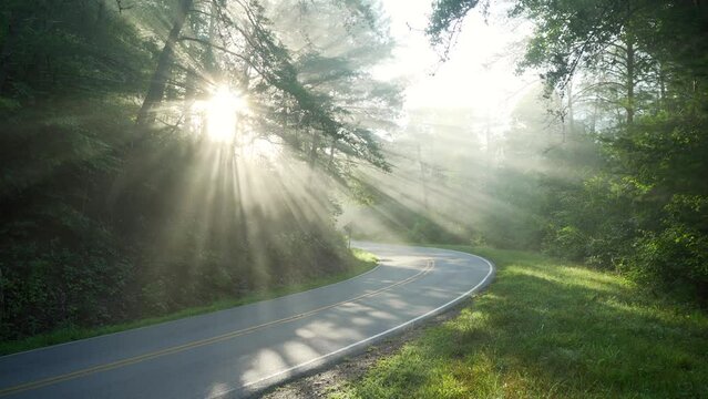 Morning sun rays shine through trees on a mountain road as a car passes by