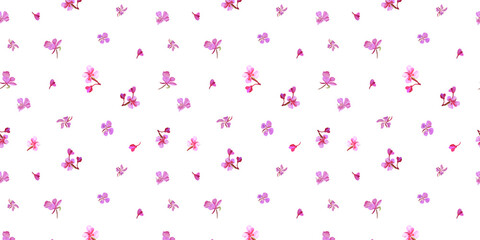 Fototapeta na wymiar Digital horizontal seamless pattern with colorful wild fireweed flower . White background.
