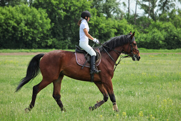 Beautiful equestrian riding horseback in woods glade at summer sunset