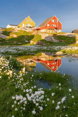 Greenland view of colorful houses in Ilulissat City and icefjord. Tourist destination in the arctic. Panoramic photo of typical Greenland village houses.  Rodebay