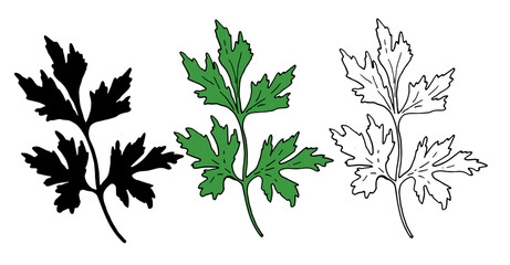 a set of green parsley and CILANTRO. isolated set of hand-drawn sprigs of fresh green cilantro with a black outline and silhouette for packaging, label design template