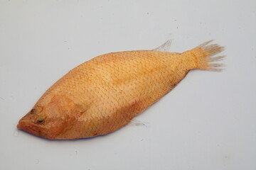 Pelua, Solleta, Citharus linguatula, Pescado, fish, pelaia,alimento, marino