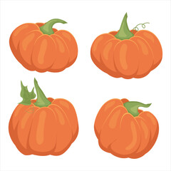 Pumpkin. Set of illustrations of pumpkins. Autumn symbol. Harvest.
