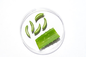 Aloe vera extract research in laboratory with a petri dish on white background for aloe vera research advertising , photography science content , top view of sliced aloe leaves