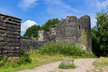 rions of liverpool castle 