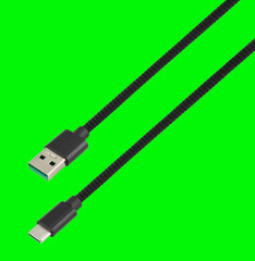 cable with USB and Type-C connector, on a green background