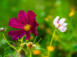 fragile 118