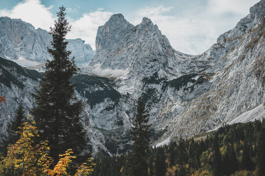 Zugspitze aus dem Tal mit Wald Hochkant