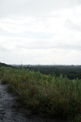 Wald und Industrie Ruhrpott