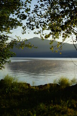 Blick durch Bäume auf Walchensee am Morgen