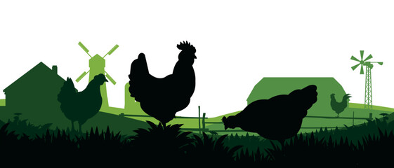 Chickens in pasture. Picture silhouette. Farm pets. Domestic poultry to get eggs. Rural landscape with farmer house. Isolated on white background. Vector