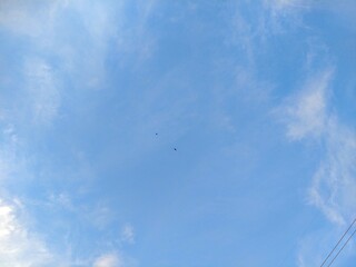 Two Birds Flying in Summer Afternoon Cloudy Sky