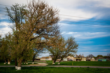 View of rural buildings and meadows, with trees. A distant village, with meadows, buildings and trees, in early spring.