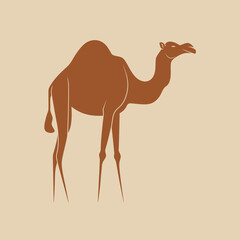 Camel on a beige background. Camel logo.