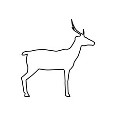 Animal deer outline silhouette vector icon illustration nature art design with horn. Wildlife deer line silhouette head drawing stag. Forest character zoo nature silhouette animal mammal wild reindeer
