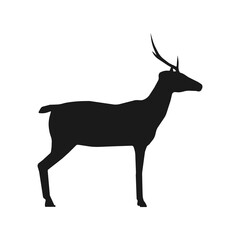 Animal deer solid black silhouette vector icon illustration nature art design with horn. Wildlife deer silhouette head drawing stag. Forest character zoo nature silhouette animal mammal wild reindeer