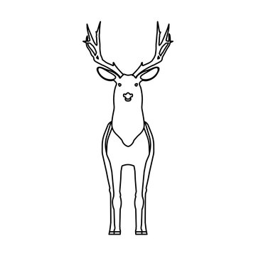 Animal deer outline silhouette vector icon illustration nature art design with horn. Wildlife deer line silhouette head drawing stag. Forest character zoo nature silhouette animal mammal wild reindeer