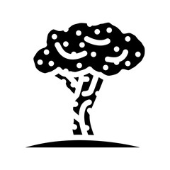olive tree glyph icon vector. olive tree sign. isolated symbol illustration