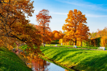 Alexander park in golden autumn, Pushkin (Tsarskoe Selo), Saint Petersburg, Russia