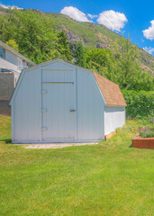 Vertical White puffy clouds Small white barn shed on the yard with lavender on the raised bed gardens