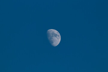 Half moon on blue sky no clouds