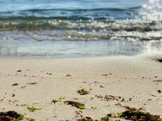 at the beach, close up, Sunny day