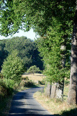 route de campagne tournant &agrave; droite au milieu des champs - Corr&egrave;ze Limousin