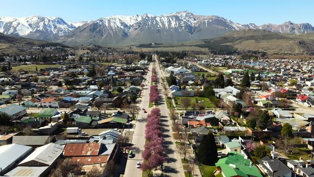 Primavera en Esquel. Los cerezos en flor de la avenida Ameghino.