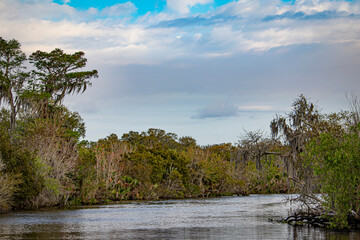 Bayou Waters Lead Deeper into the Swamp outside of Lafitte, Louisiana, USA