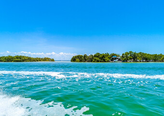 Panorama landscape view Holbox island nature beach turquoise water Mexico.