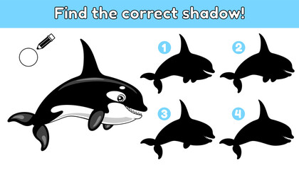 Find the correct shadow and write the correct answer. Educational game for kids. Worksheets for children. Cartoon cute orca. Vector illustration of an ocean animal.