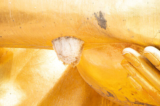 There is a white bee nest occur under arm of golden big Buddha statue that have smooth skin.
