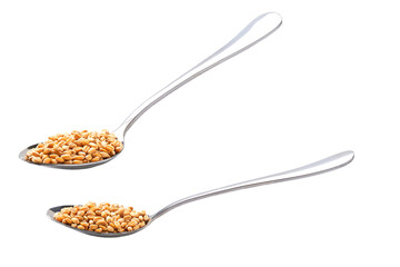 metal spoon with organic wheats isolated on white background.