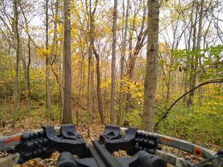 crossbow in woods