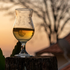 Taça de hidromel no entardecer com reflexo de árvore