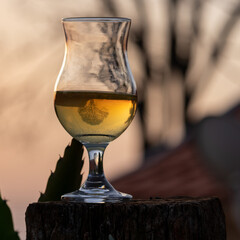 Taça de hidromel no entardecer com reflexo de árvore