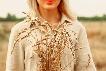 Wheat field. The concept of the global food crisis. Woman holding ears of wheat in her hands
