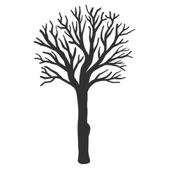 Fototapeta premium Hand drawn naked tree silhouette