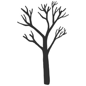 Hand drawn naked tree silhouette