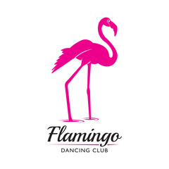 Flamingo bird vector illustration design, perfect for beach club and dancing school logo design